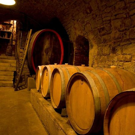 Ferienwohnung, Weingut Trockene Schmitts Randersacker Kültér fotó
